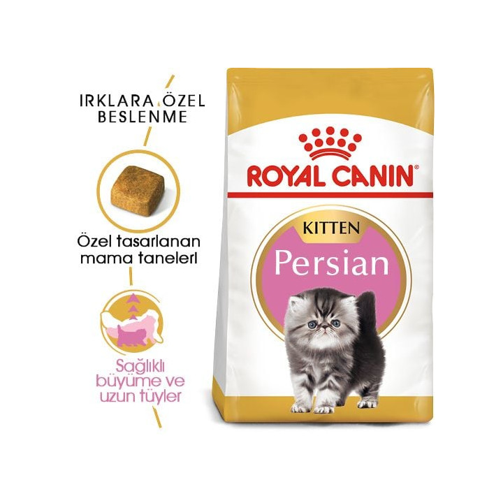 Persian Kitten Yavru Kedi Kuru Maması 2 kg