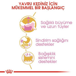 Persian Kitten Yavru Kedi Kuru Maması 2 kg