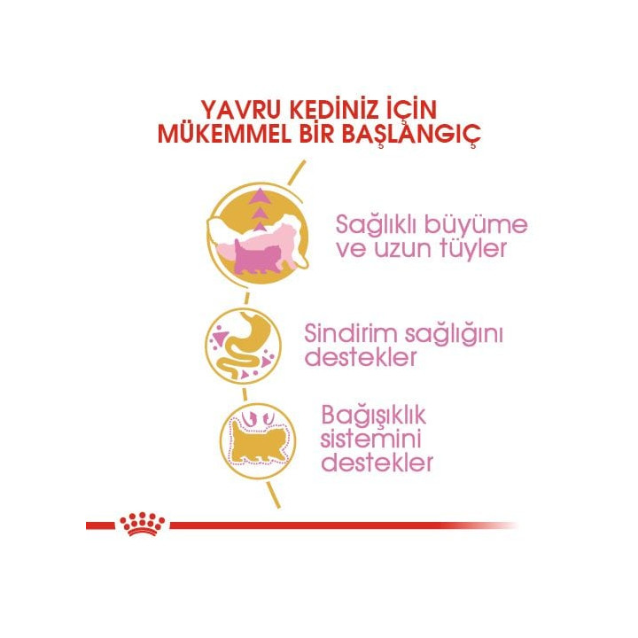 Persian Kitten Yavru Kedi Kuru Maması 2 kg
