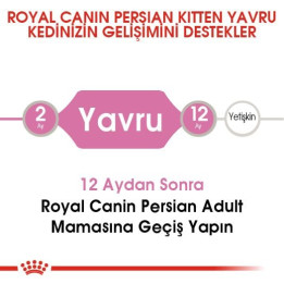 Persian Kitten Yavru Kedi Kuru Maması 2 kg