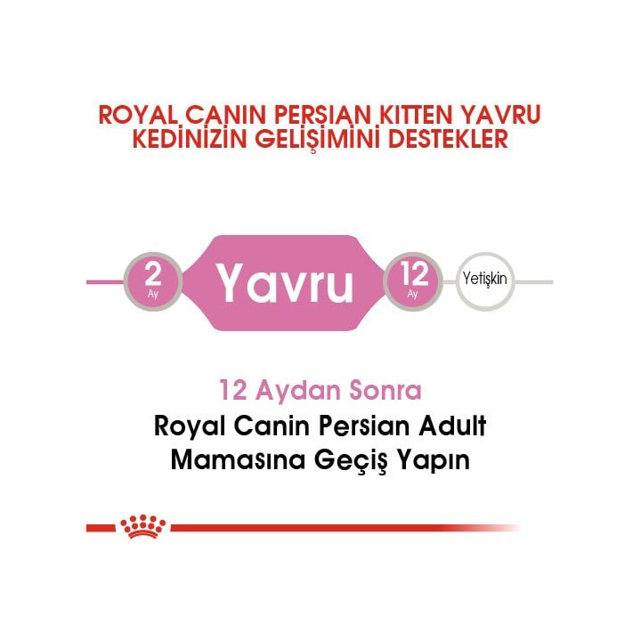 Persian Kitten Yavru Kedi Kuru Maması 2 kg