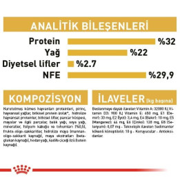 Persian Kitten Yavru Kedi Kuru Maması 2 kg