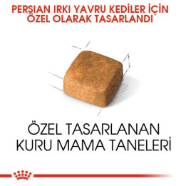 Persian Kitten Yavru Kedi Kuru Maması 2 kg