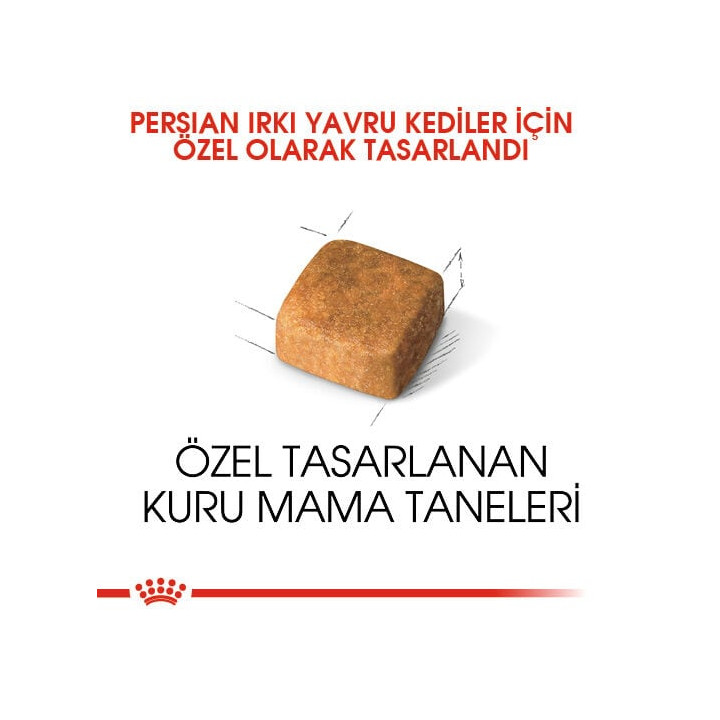 Persian Kitten Yavru Kedi Kuru Maması 2 kg