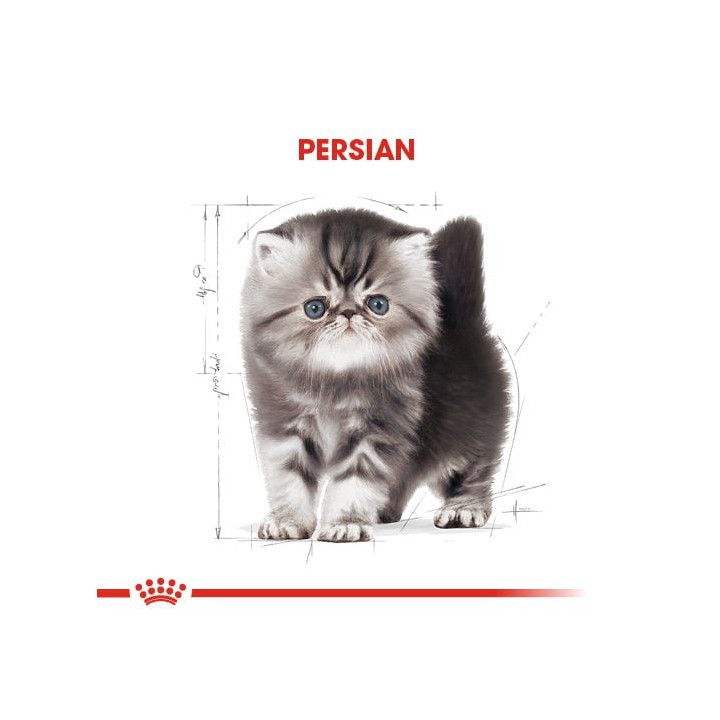 Persian Kitten Yavru Kedi Kuru Maması 2 kg