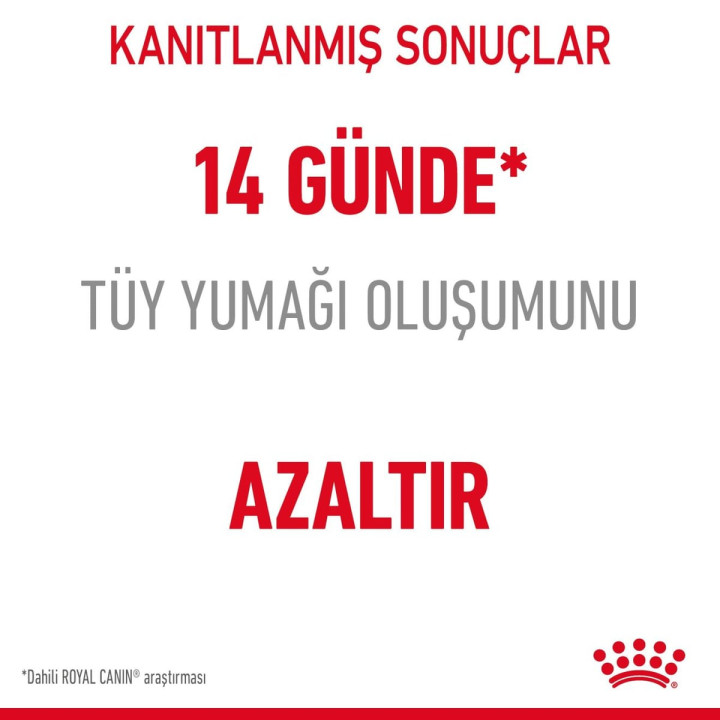 Hairball Care Yetişkin Kedi Kuru Maması 2 kg