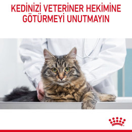 Hairball Care Yetişkin Kedi Kuru Maması 2 kg