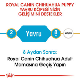Chihuahua Puppy Yavru Köpek Kuru Maması 1.5 kg