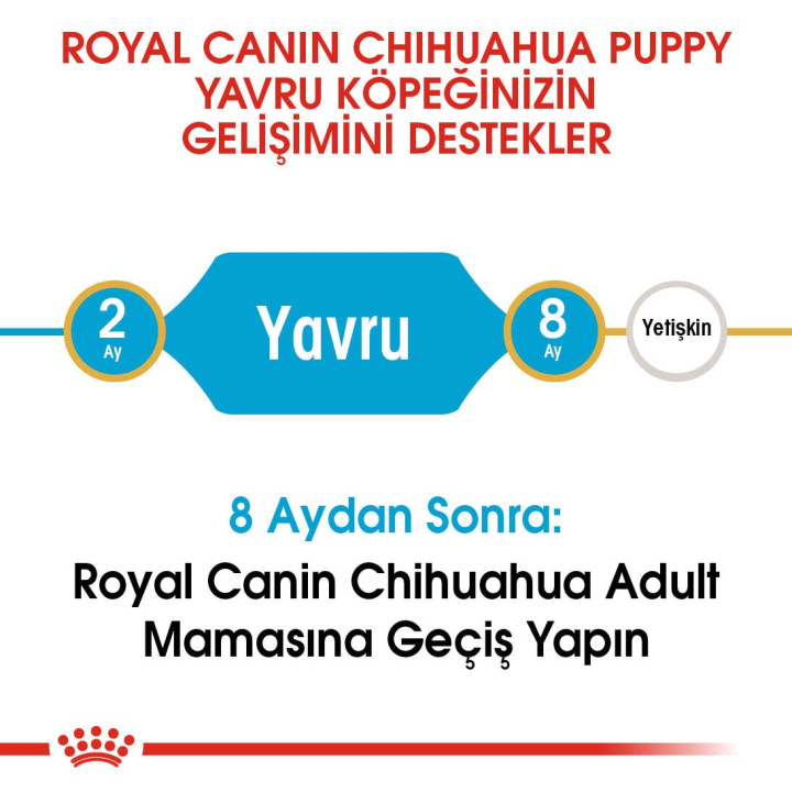 Chihuahua Puppy Yavru Köpek Kuru Maması 1.5 kg