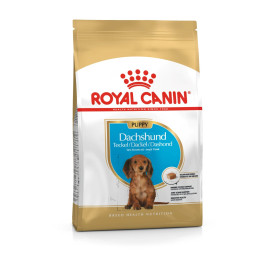 Dachshund Puppy Yavru Köpek Kuru Maması 1.5 kg