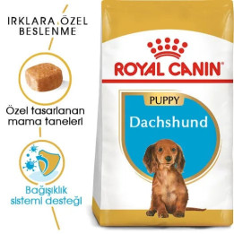 Dachshund Puppy Yavru Köpek Kuru Maması 1.5 kg