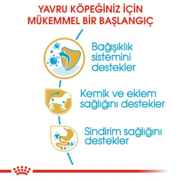 Dachshund Puppy Yavru Köpek Kuru Maması 1.5 kg