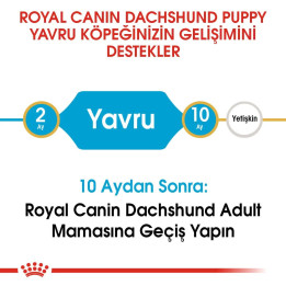 Dachshund Puppy Yavru Köpek Kuru Maması 1.5 kg