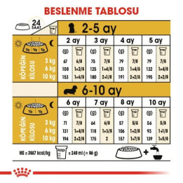 Dachshund Puppy Yavru Köpek Kuru Maması 1.5 kg