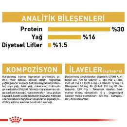 Dachshund Puppy Yavru Köpek Kuru Maması 1.5 kg