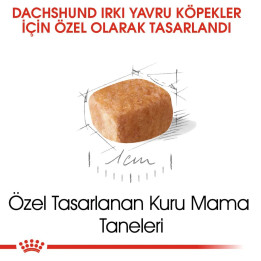 Dachshund Puppy Yavru Köpek Kuru Maması 1.5 kg