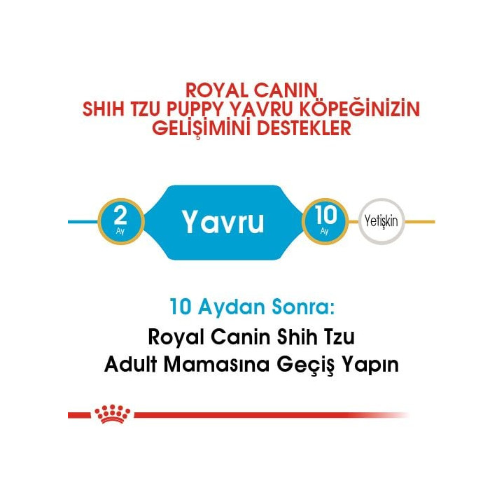 Shih Tzu Puppy Yavru Köpek Kuru Maması 1.5 kg