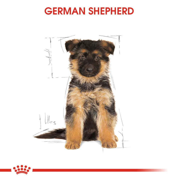 German Shepherd Puppy Yavru Köpek Kuru Maması 12 kg