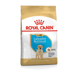 Labrador Retriever Puppy Yavru Köpek Kuru Maması 12 kg