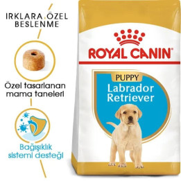 Labrador Retriever Puppy Yavru Köpek Kuru Maması 12 kg