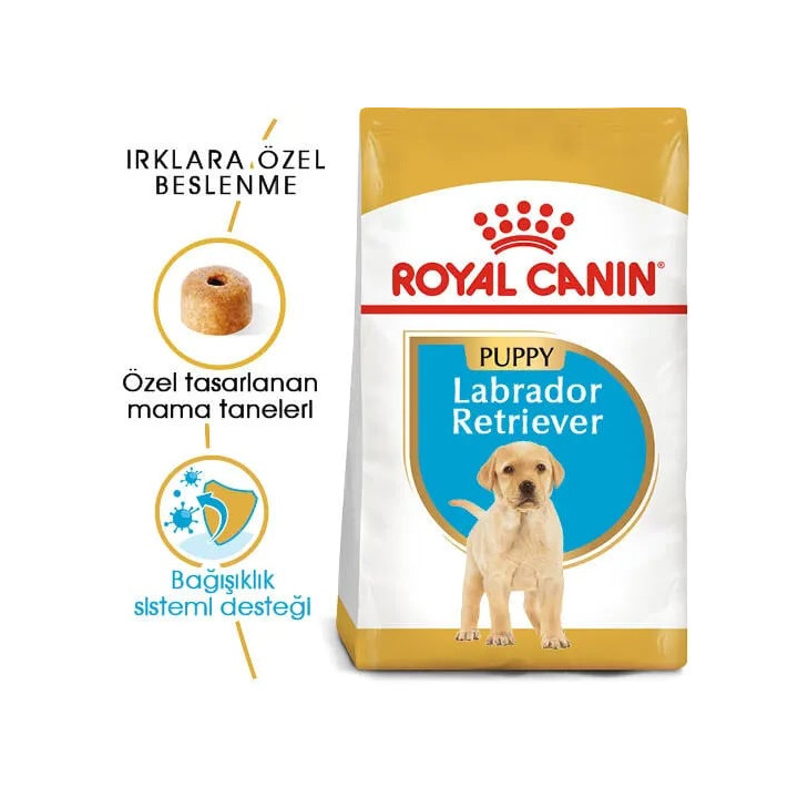 Labrador Retriever Puppy Yavru Köpek Kuru Maması 12 kg