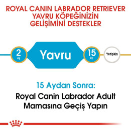 Labrador Retriever Puppy Yavru Köpek Kuru Maması 12 kg