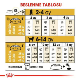 Labrador Retriever Puppy Yavru Köpek Kuru Maması 12 kg