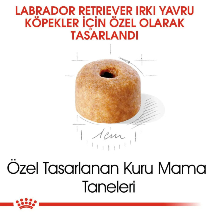 Labrador Retriever Puppy Yavru Köpek Kuru Maması 12 kg