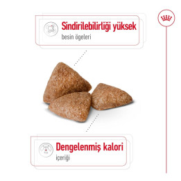 Mini Indoor Adult Yetişkin Köpek Kuru Maması 1.5 kg