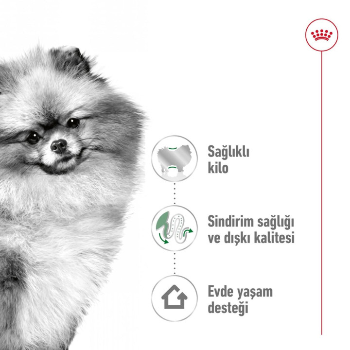 Mini Indoor Adult Yetişkin Köpek Kuru Maması 1.5 kg