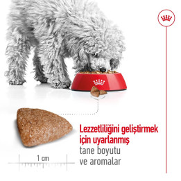 Mini Indoor Adult Yetişkin Köpek Kuru Maması 1.5 kg