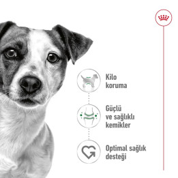 Mini Adult Yetişkin Köpek Kuru Maması 4 kg