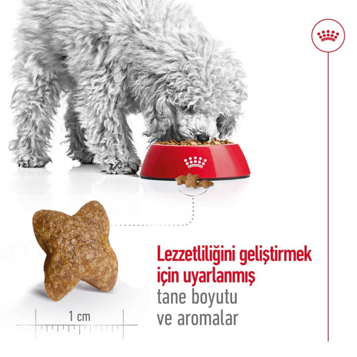 Mini Adult Yetişkin Köpek Kuru Maması 4 kg