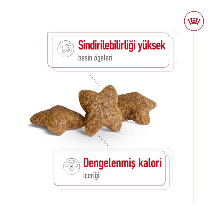Mini Adult Yetişkin Köpek Kuru Maması 4 kg