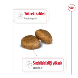 Maxi Adult Yetişkin Köpek Kuru Maması 15 kg