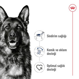 Maxi Adult Yetişkin Köpek Kuru Maması 15 kg