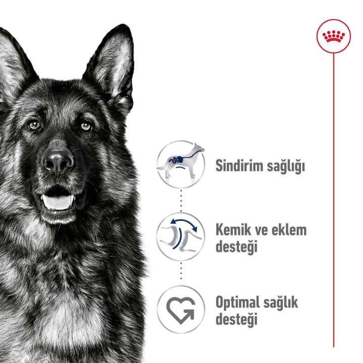 Maxi Adult Yetişkin Köpek Kuru Maması 15 kg