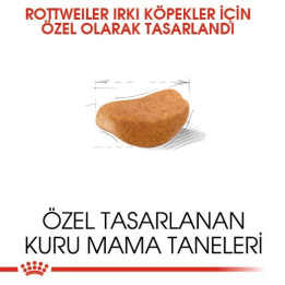Rottweiler Adult Yetişkin Köpek Kuru Maması 12 kg