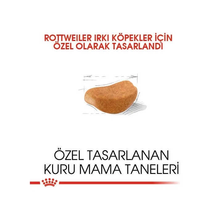 Rottweiler Adult Yetişkin Köpek Kuru Maması 12 kg
