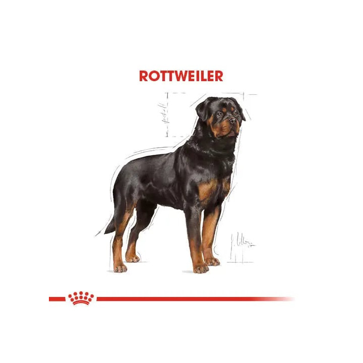 Rottweiler Adult Yetişkin Köpek Kuru Maması 12 kg