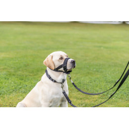 Muzzle Loop