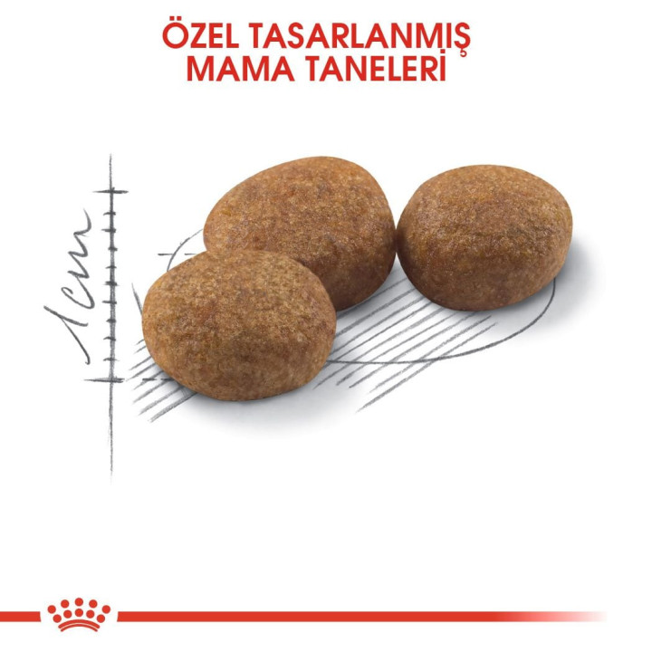 Sterilised 37 Kısırlaştırılmış Yetişkin Kedi Kuru Maması 10 kg