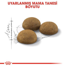 Indoor Long Hair Yetişkin Kedi Kuru Maması 4 kg