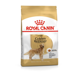 Golden Retriever Adult Yetişkin Köpek Kuru Maması 12 kg