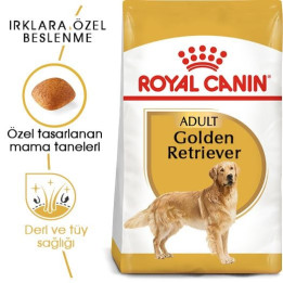 Golden Retriever Adult Yetişkin Köpek Kuru Maması 12 kg