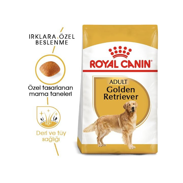 Golden Retriever Adult Yetişkin Köpek Kuru Maması 12 kg