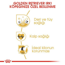 Golden Retriever Adult Yetişkin Köpek Kuru Maması 12 kg