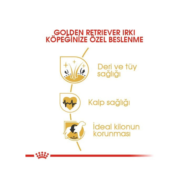 Golden Retriever Adult Yetişkin Köpek Kuru Maması 12 kg