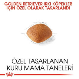Golden Retriever Adult Yetişkin Köpek Kuru Maması 12 kg