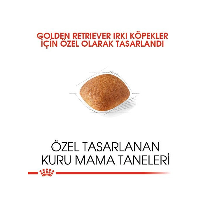 Golden Retriever Adult Yetişkin Köpek Kuru Maması 12 kg